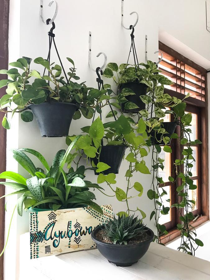 Bed & Bicycle Hostel Dehiwala-Mount Lavinia Екстериор снимка